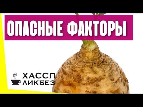 Видео: Что такое опасные факторы в ХАССП? Как составить перечень опасных факторов в общественном питании?