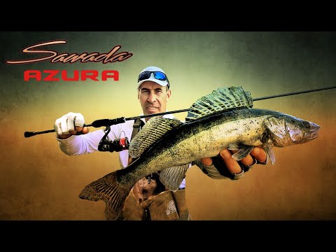 Видео: ✅ Azura Sawada Light Rod 90L 2.74м 4-16г  ✅  МОЯ НОВА ПОДРУГА У РИБОЛОВЛІ  ✅