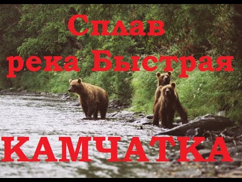 Видео: Камчатка 6 часть. Медведи. Рыбалка. Сплав по реке Быстрая 3 серия!