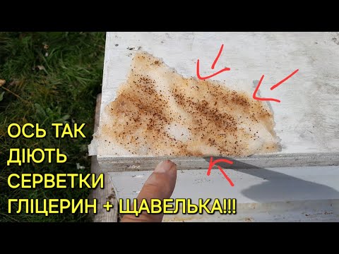 Видео: Ось так діють серветки гліцерин + щавелька!!! #бджільництвов6тирамвуликах