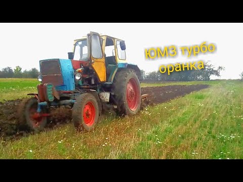 Видео: ЮМЗ турбо оранка