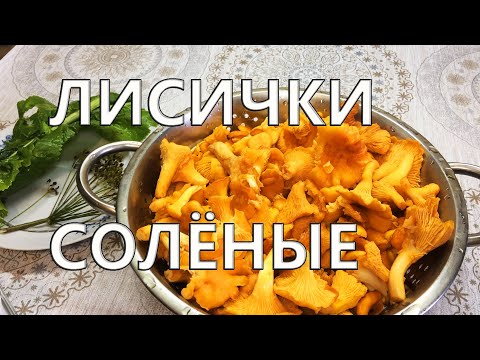 Видео: Солёные лисички