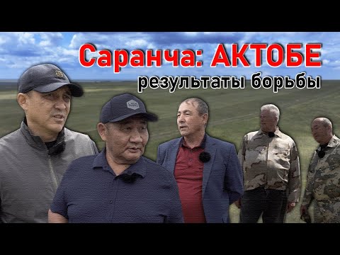 Видео: Актобе: Уил, Хобда, Хромтау – репортаж о борьбе с саранчой