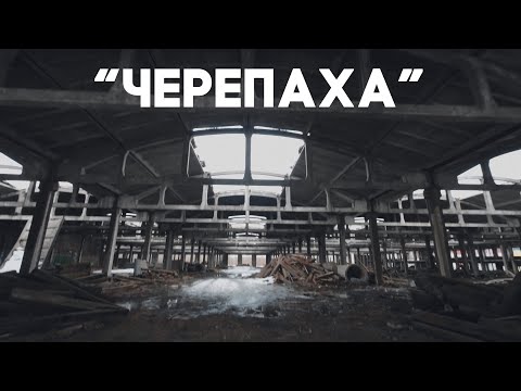 Видео: FPV выходного дня