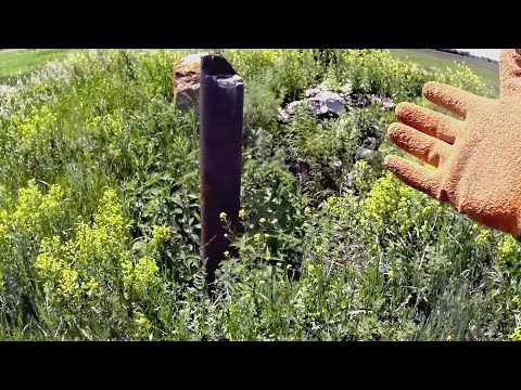 Видео: Заброшенная нефтянка / Несколько лет мимо ездил / Металл есть