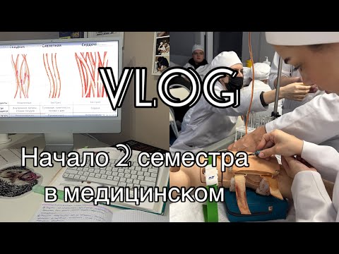 Видео: ОТЧИСЛЕНИЯ ПОСЛЕ ПЕРВОЙ СЕССИИ  | 2 СЕМЕСТР В МЕДЕ