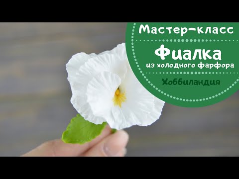 Видео: МАСТЕР-КЛАСС "ФИАЛКА" ИЗ ХОЛОДНОГО ФАРФОРА
