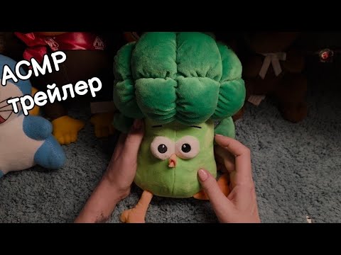 Видео: АСМР покупки Фикс Прайс; ВЛОГ; чук-чук 💋 ДЛЯ СПОНСОРОВ YOUTUBE И В BOOSTY ЗА 19.08-24.08 😴 шепот