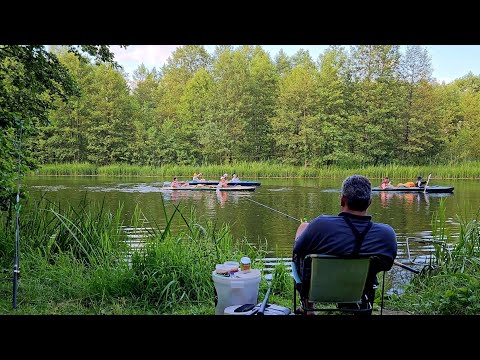 Видео: Рыбалка с Ночевкой на Лесной Реке. Ловля на Фидер и Донки. Рыбалка на Фидер. Подлещик на Друти.