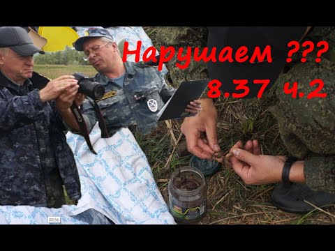 Видео: Одна рыбалка 2 штрафа. р. Егорлык. Ставропольская РЫБ ИНСПЕКЦИЯ. Борзые сотрудники не платить штраф