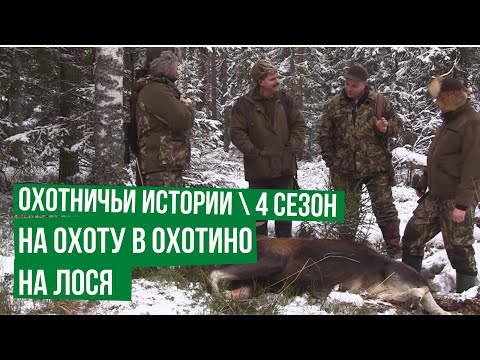 Видео: Охота на лося в Охотино \ Охотничьи истории \  Сезон 4