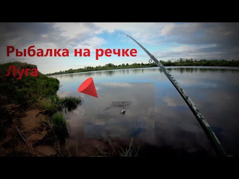 Видео: Поплавочная рыбалка на реке Луга