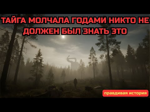 Видео: СЕКРЕТЫ ТАЙГИ О КОТОРЫХ МОЛЧАЛИ ГОДАМИ! Сборник   Таёжные истории
