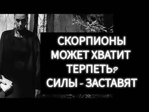 Видео: СКОРПИОНЫ🦂МОЖЕТ ХВАТИТ УЖЕ?ВЫСШИЕ ВСЁ РАВНО ДОЖМУТ🖤🪽