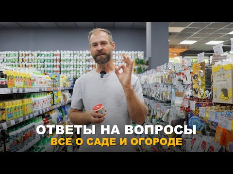 Видео: ВОПРОС-ОТВЕТ. Отвечаю на самые популярные вопросы среди зрителей.