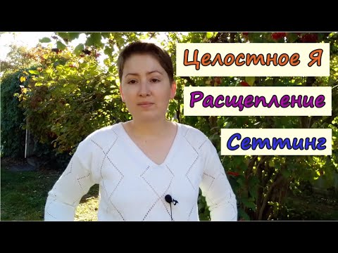 Видео: Целостное Я. Расщепление. Сеттинг в психотерапии. Терапия, сфокусированная на переносе. О. Кернберг