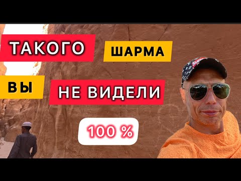 Видео: 🇾🇪ЕГИПЕТ / ТАКОГО ВЫ НЕ ВИДЕЛИ / Как реально живут бедуины / Рыбалка / Джипы / Белый каньон /