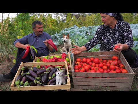 Видео: Заготовка на Зиму - Овощной  Салат на Углях