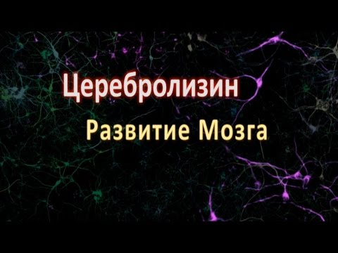 Видео: Церебролизин, Развитие мозга!
