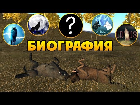 Видео: ИСТОРИЯ МОЕЙ ЖИЗНИ В СТАЯХ | WolfQuest