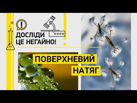 Видео: ДОСЛІДИ ЦЕ НЕГАЙНО! ПОВЕРХНЕВИЙ НАТЯГ