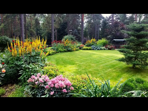 Видео: Творческие идеи декора для вашего сада / Creative decor ideas for your garden