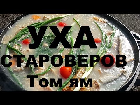Видео: УХА СТАРОВЕРА ИЗ СЕМГИ РЕЦЕПТЫ СЮФ