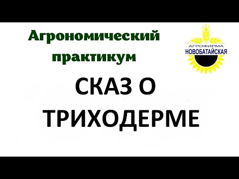 Видео: СКАЗ О ТРИХОДЕРМЕ