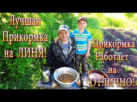 Видео: Как Поймать Линя! Лучшая Прикормка на Линя! Секрет её Приготовления!!!