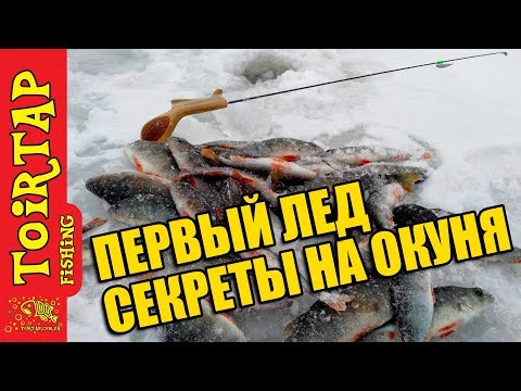 Видео: Первый лед!!! Ловля ОКУНЯ на СЪЕДОБНЫЙ силикон и блесну ТОИРТАП!!! Зимняя рыбалка на окуня!