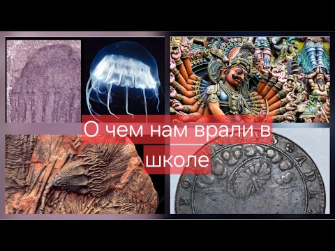 Видео: О чем нам врали в школе? Альтернативная история - путь познания,мира #политика #history