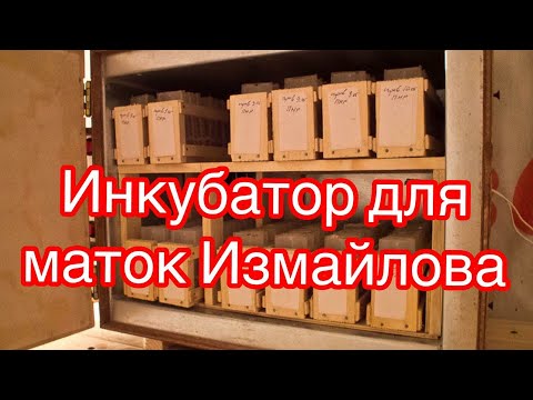 Видео: Инкубатор для маток Измайлова ,практичная воскотопка #пчеловодство