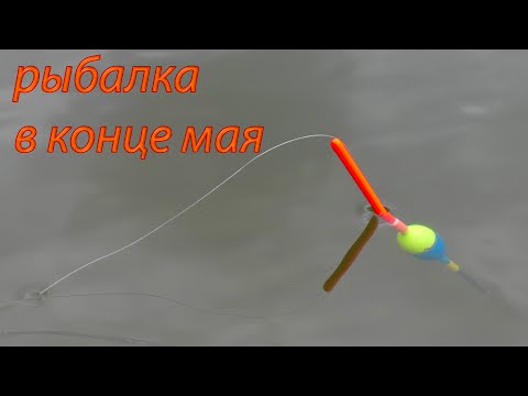 Видео: Рыбалка на речке. Супер клёв в конце мая 2022.