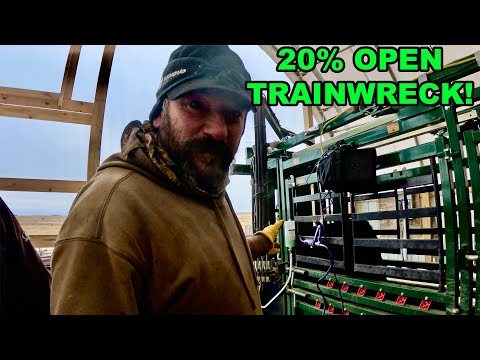 Видео: Проверка на беременность наших ДОРОГИХ телок!