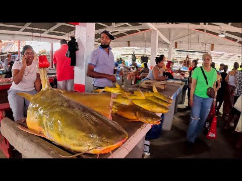 Видео: ЛЕОНОРА МАРКЕТ || КАБАЧКИ И УТКА ПО-ГАЙАНСКИ #203