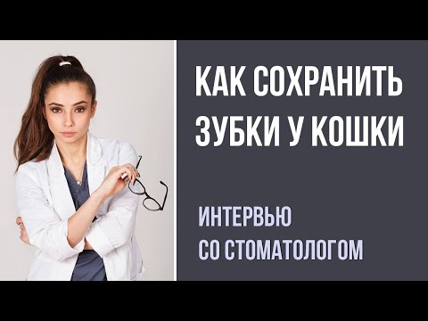 Видео: Этого о стоматологии кошек ветеринары-терапевты не знают