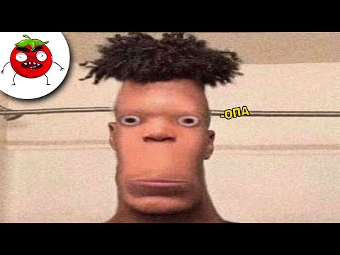 Видео: ЗАСМЕЯЛСЯ ПОДПИСАЛСЯ | Тест на Психику Челендж | ЛУЧШИЕ ПРИКОЛЫ 2024 года | УГАР #66