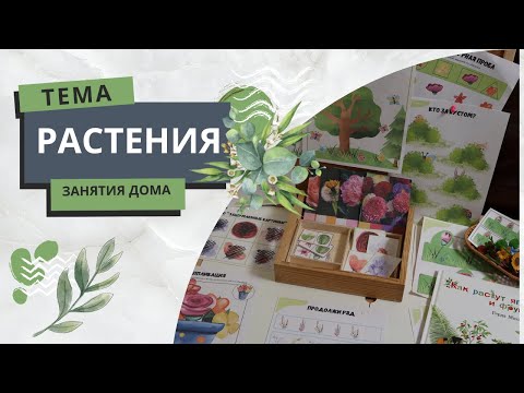 Видео: ТЕМАТИЧЕСКОЕ ЗАНЯТИЕ "Растения". Игры с детьми дома. Развивающие игры