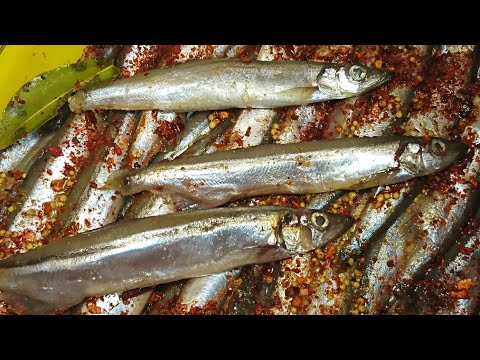 Видео: МОЙВА ПРЯНОГО СПЕЦИАЛЬНОГО ПОСОЛА /spiced salted capelin