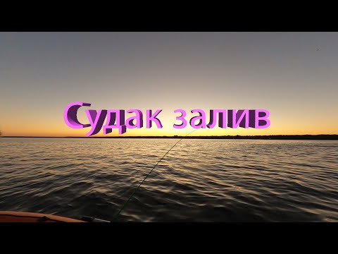 Видео: Судак Финский залив