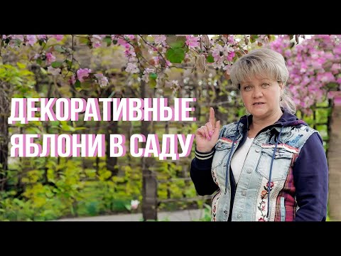 Видео: Декоративные плодовые деревья и кустарники в ландшафтном дизайне.