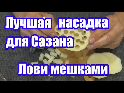 Видео: Жареный Картофель для Сазана. Лучшая насадка для ловли Сазана