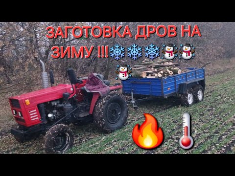 Видео: Заготовка дров на зиму!!! 