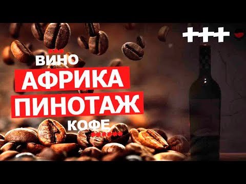 Видео: Вино на вкус, как кофе. "Бариста Пинотаж" ЮАР, "Barista" Pinotage Africa. Магазин красное и белое.