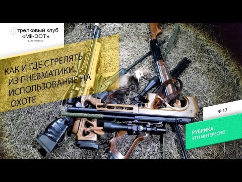 Видео: Где можно стрелять из пневматики. Применение на охоте