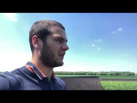 Видео: Гербицидная обработка кукурузы + листовые подкормки. Стеллар + Полидон.