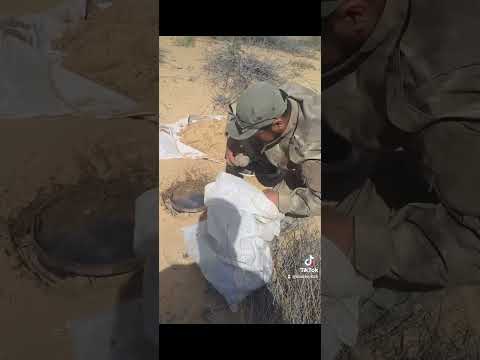 Видео: қасқыр ға қақпан құру