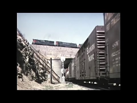 Видео: Могучий Южный Тихий океан