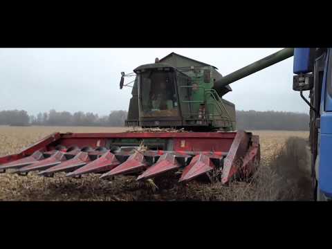 Видео: 24,10,2019 Молотимо кукурудзу Syngenta Ново Топ