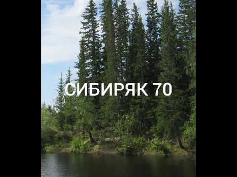 Видео: Аналог караката ЗИС-5 отзыв после 1.5 года эксплуатации